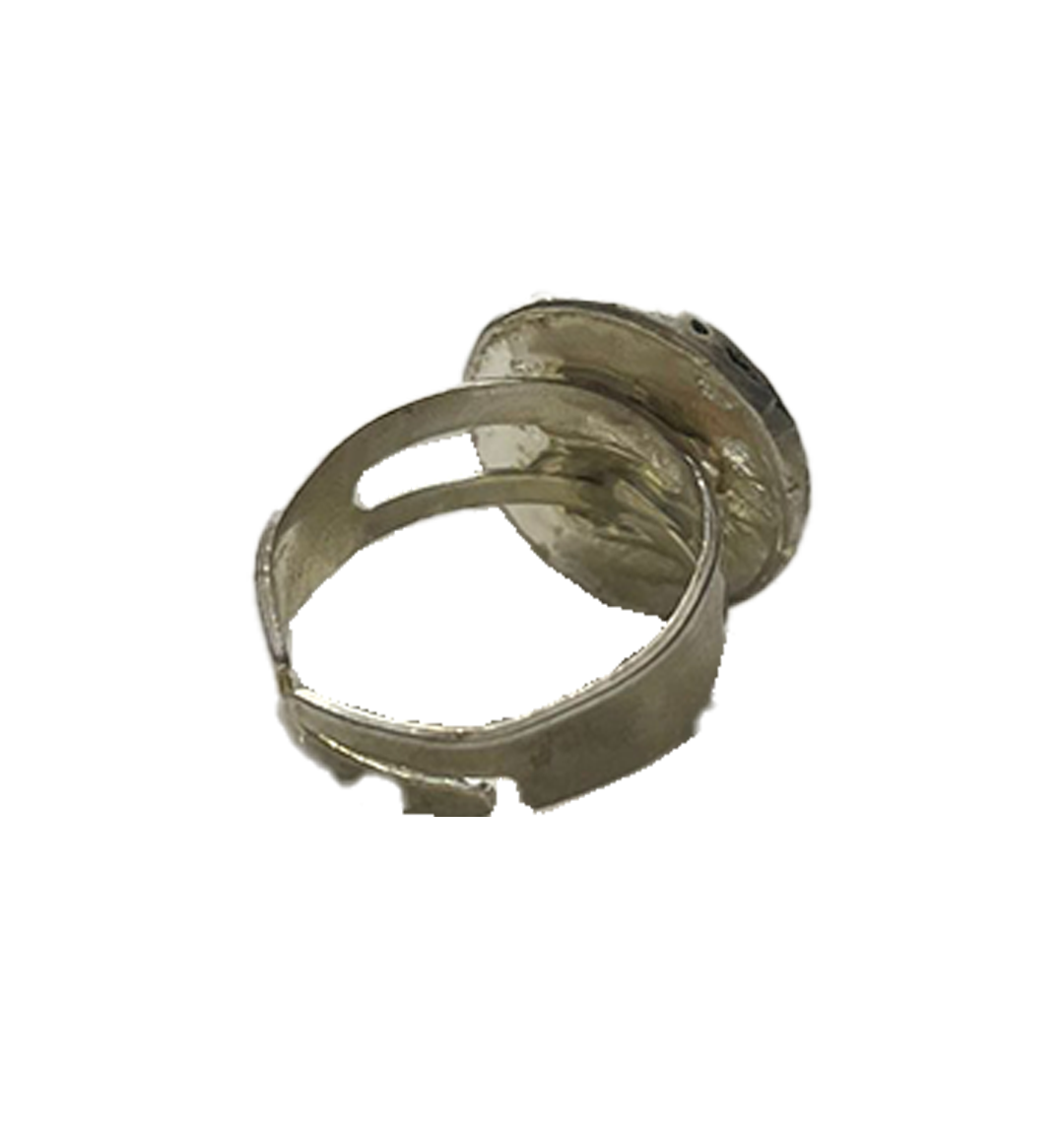 Fisch Ring