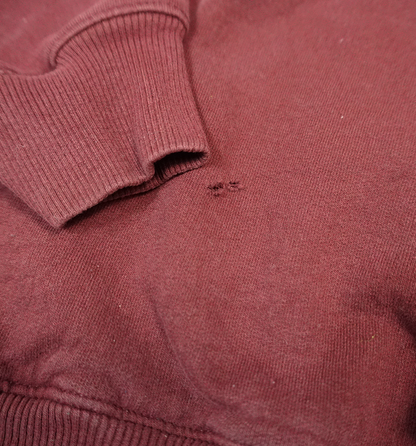 Champion Basic Hoodie Rot